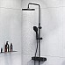 Душевая система AM.PM Inspire V2.0 F0750A422 с термостатом Черная матовая