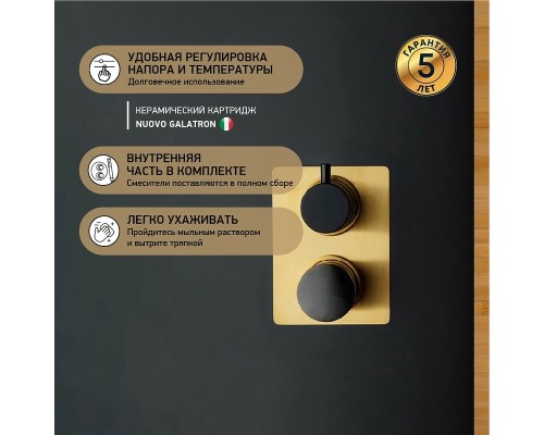 Смеситель для душа Paini Domus Золото матовое