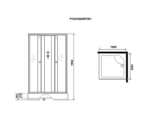 Душевая кабина Niagara Promo 100x100 P100/26Q/MT/BK без гидромассажа