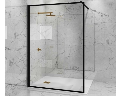 Душевая перегородка Paini 100 PAINI-WalkIN100F профиль Черный матовый стекло прозрачное