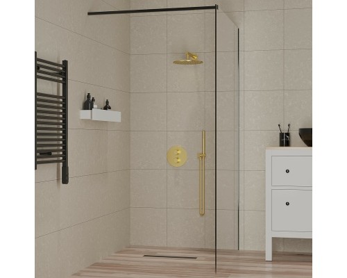 Душевая перегородка Paini 100 PAINI-WalkIN100F профиль Черный матовый стекло прозрачное