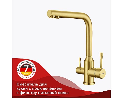 Смеситель для кухни Raglo R81.61.03 Золото матовое