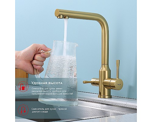 Смеситель для кухни Raglo R81.61.03 Золото матовое