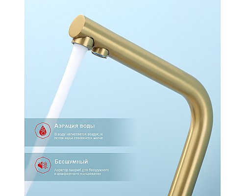 Смеситель для кухни Raglo R81.61.03 Золото матовое