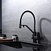 Смеситель для кухни Raglo R85.62.06 Черный матовый