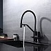 Смеситель для кухни Raglo R85.62.06 Черный матовый