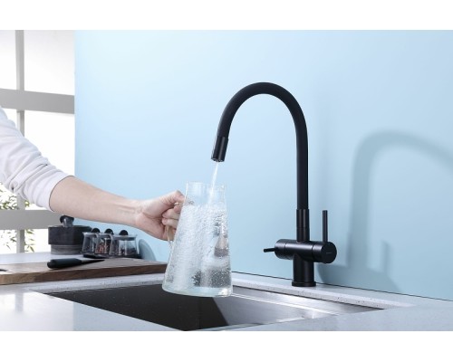 Смеситель для кухни Splenka S70.64.06 Черный матовый