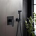 Гигиенический душ со смесителем Aquatek Оберон AQ1219MB Черный матовый