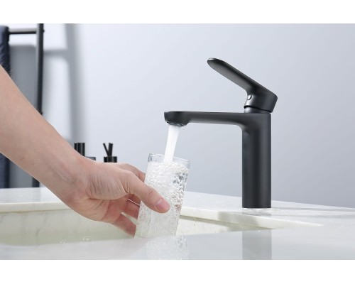 Смеситель для раковины Splenka S222.10.06 Черный матовый