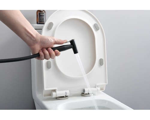 Гигиенический душ со смесителем Splenka S221.52.06 Черный матовый