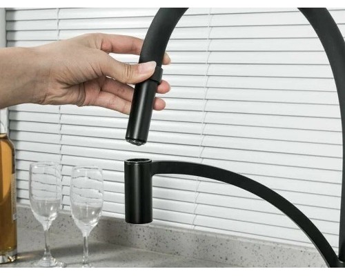 Смеситель для кухни Frap F4552-6 Черный матовый