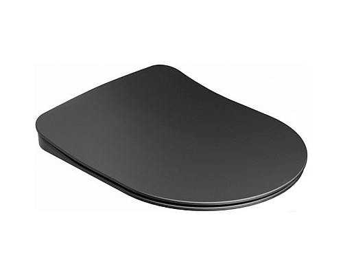 Сиденье для унитаза Ravak Uni Chrome X01795 Черное матовое с Микролифтом