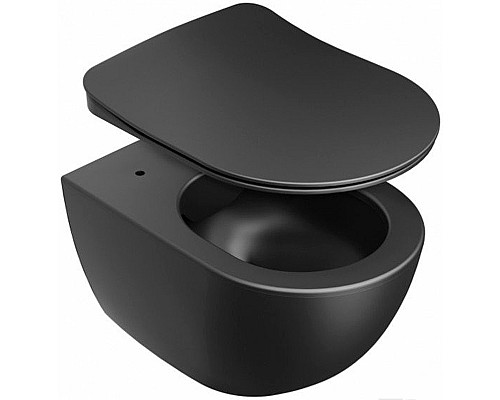 Сиденье для унитаза Ravak Uni Chrome X01795 Черное матовое с Микролифтом
