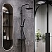 Душевая система Damixa Scandinavian Pure 936750300 с термостатом Черная матовая