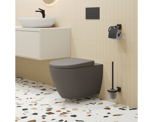 Унитаз Ambassador Queen 113T20301R подвесной Серый матовый без сиденья