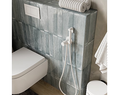 Гигиенический душ со смесителем WasserKRAFT A70538 Белый матовый