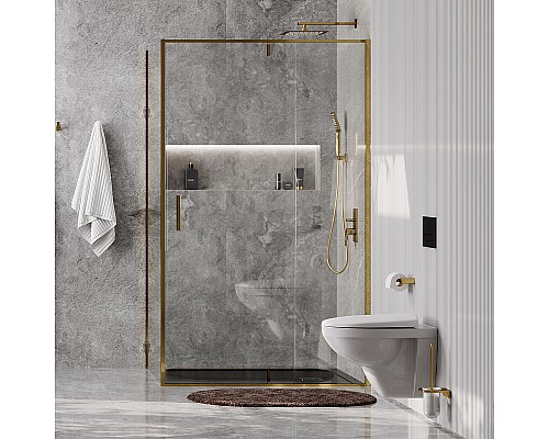 Душевая стенка WasserKRAFT Aisch 100 55P10-RP100 профиль Золото матовое стекло прозрачное