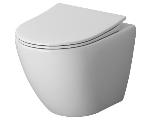 Унитаз Niagara Vista NG-9301 подвесной с сиденьем Микролифт