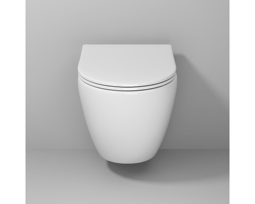 Унитаз Niagara Vista NG-9301 подвесной с сиденьем Микролифт