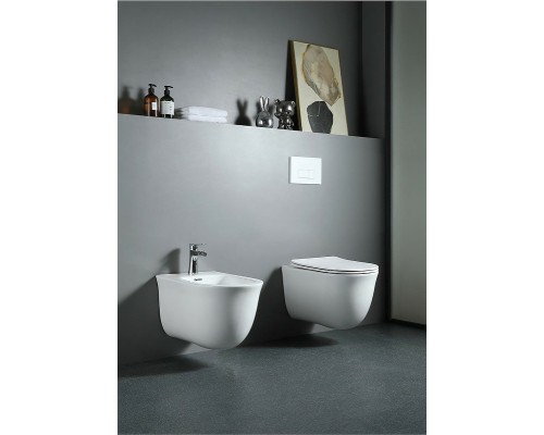 Унитаз Aquatek Классик AQ1111-00 подвесной с сиденьем Микролифт