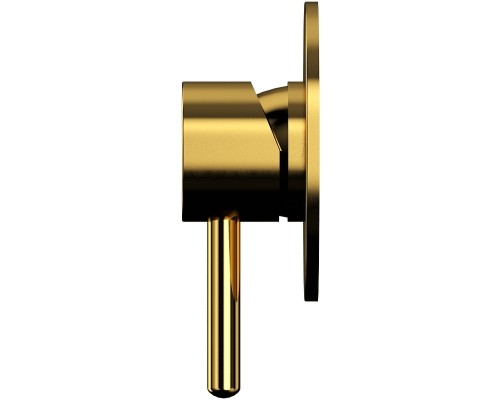 Душевая система Whitecross Y gold YSET01GL Золото