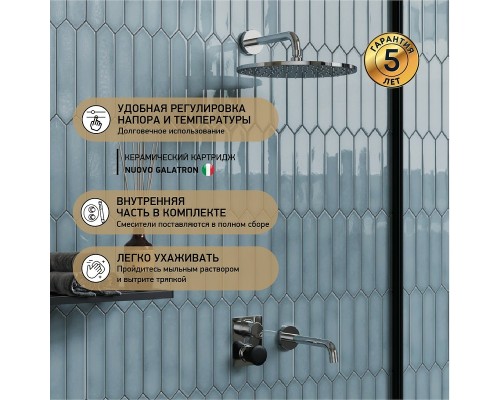 Смеситель для душа Paini Domus Хром
