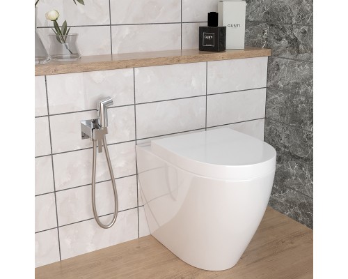 Гигиенический душ со смесителем Paini Prato 53CR442QLM Хром