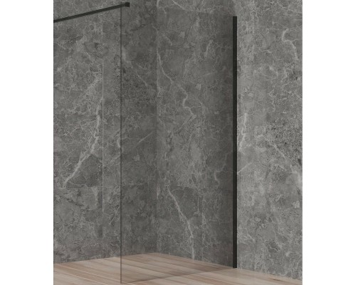 Душевая перегородка Paini 100 PAINI-WalkIN100C профиль Черный матовый стекло прозрачное