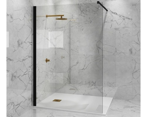 Душевая перегородка Paini 100 PAINI-WalkIN100C профиль Черный матовый стекло прозрачное