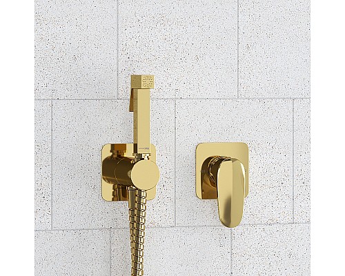 Гигиенический душ со смесителем WasserKRAFT Neckar A2151.280.238.216 Золото глянцевое