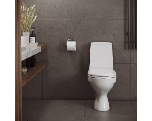 Унитаз компакт Aringa Рио AR01002WH с бачком и сиденьем Микролифт