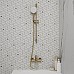 Душевой шланг Iddis Optima Home 04P15MGi19 Золото матовое