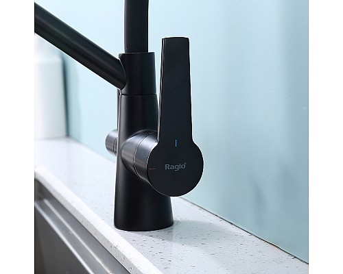 Смеситель для кухни Raglo R80.62.06 Черный матовый