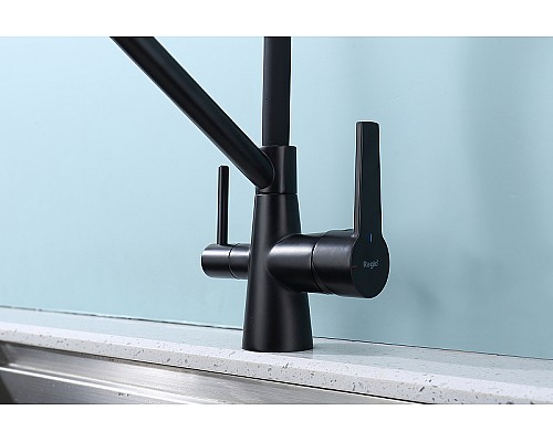 Смеситель для кухни Raglo R80.62.06 Черный матовый