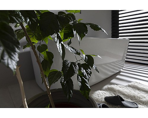 Акриловая ванна Allen Brau Infinity 3 170x78 2.21003.20 без гидромассажа