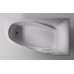 Ванна из искусственного камня Astra Form Селена 170х100 R 01010040 без гидромассажа