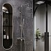 Душевая система Damixa Scandinavian Pure 936760000 с термостатом Хром