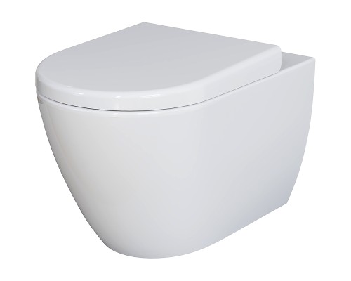 Унитаз Ambassador Queen 113T20001R подвесной Белый глянцевый без сиденья