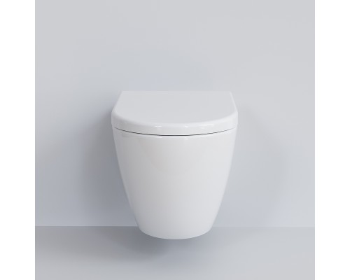 Унитаз Ambassador Queen 113T20001R подвесной Белый глянцевый без сиденья