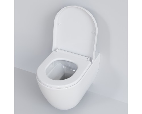 Унитаз Ambassador Queen 113T20001R подвесной Белый глянцевый без сиденья