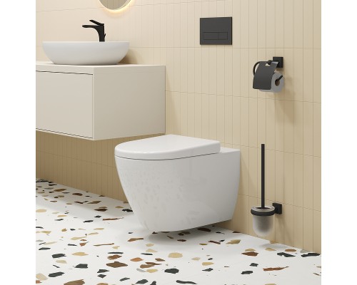 Унитаз Ambassador Queen 113T20001R подвесной Белый глянцевый без сиденья