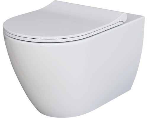 Унитаз Ambassador Queen 113T20001R подвесной Белый глянцевый без сиденья