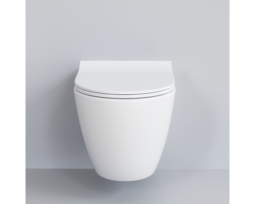 Унитаз Ambassador Queen 113T20001R подвесной Белый глянцевый без сиденья