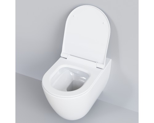 Унитаз Ambassador Queen 113T20001R подвесной Белый глянцевый без сиденья