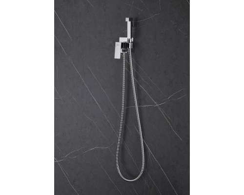 Гигиенический душ со смесителем Abber Daheim AF8226 Хром