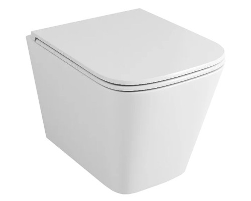 Унитаз Owl 1975 Vatter Ruta-H mini TOWLT190403S подвесной с сиденьем Микролифт