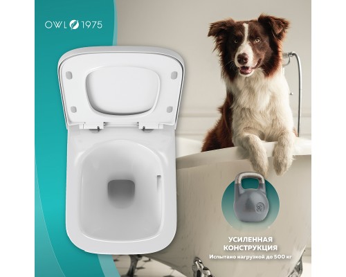 Унитаз Owl 1975 Vatter Ruta-H mini TOWLT190403S подвесной с сиденьем Микролифт