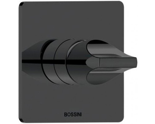 Смеситель для душа Bossini Apice Черный матовый