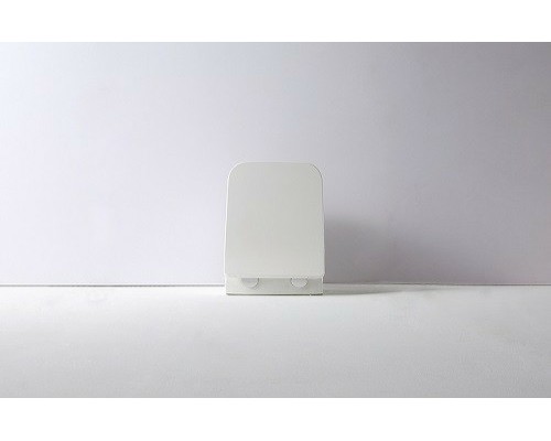 Унитаз CeramaLux подвесной с сиденьем Микролифт