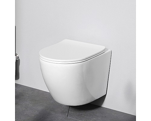 Унитаз AM.PM Like C801900SC подвесной с сиденьем Микролифт